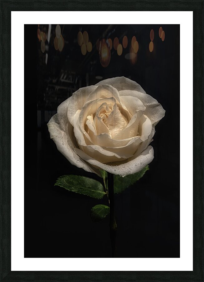 FLO 00564 Picture Frame print