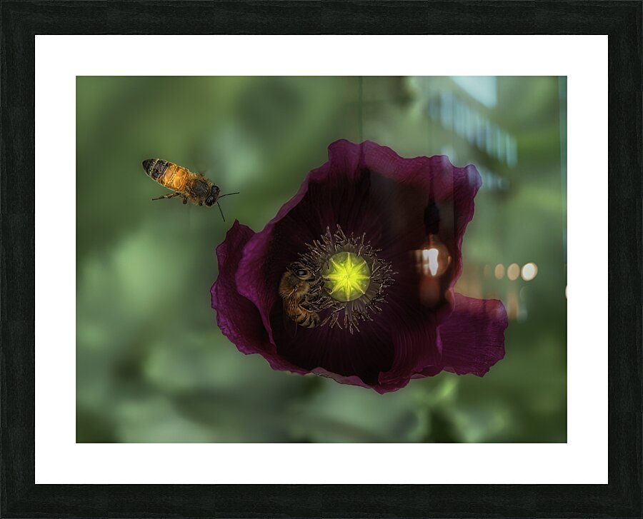 FLO 00573 Picture Frame print