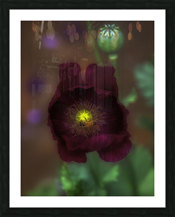 FLO 00571 Picture Frame print