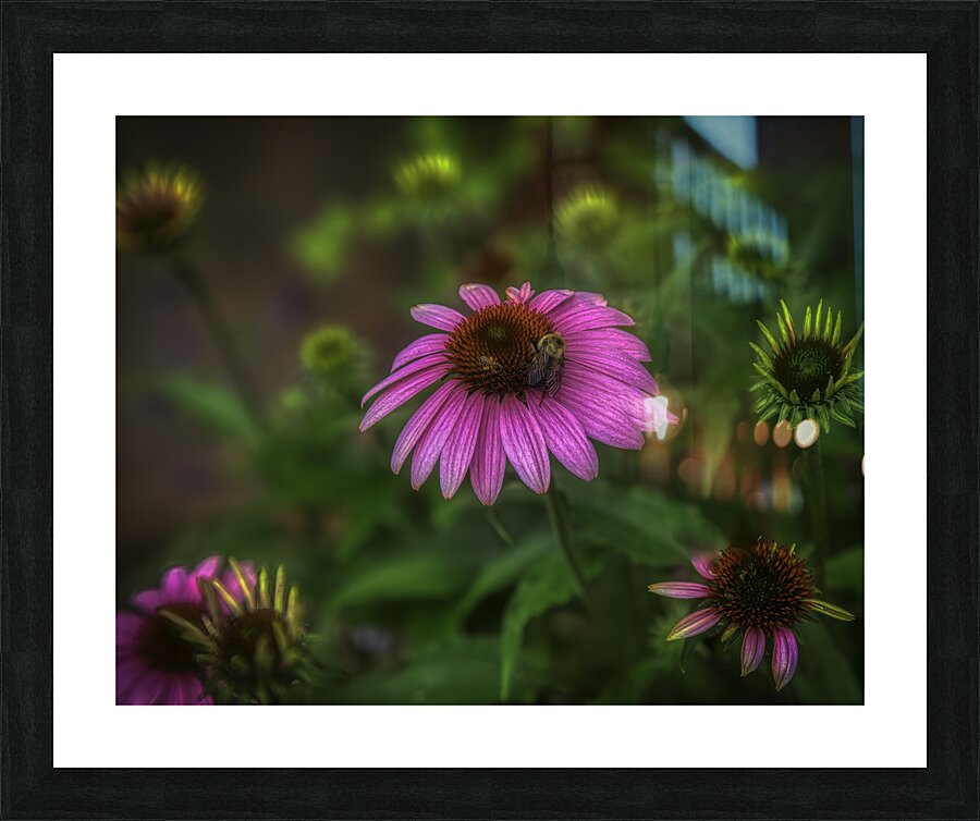 FLO 00569 Picture Frame print