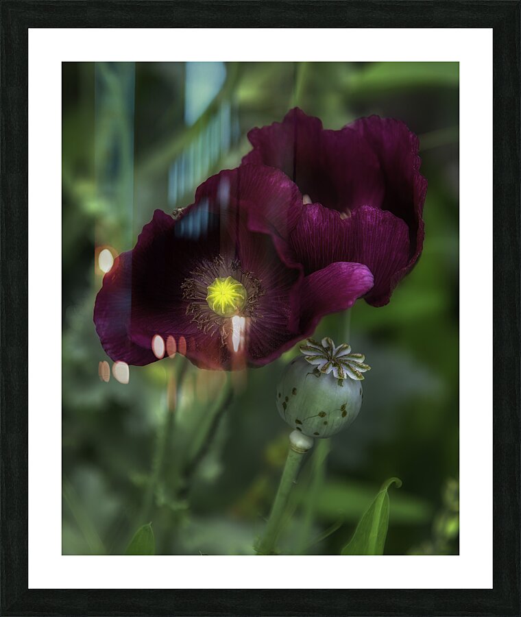 FLO 00584 Picture Frame print