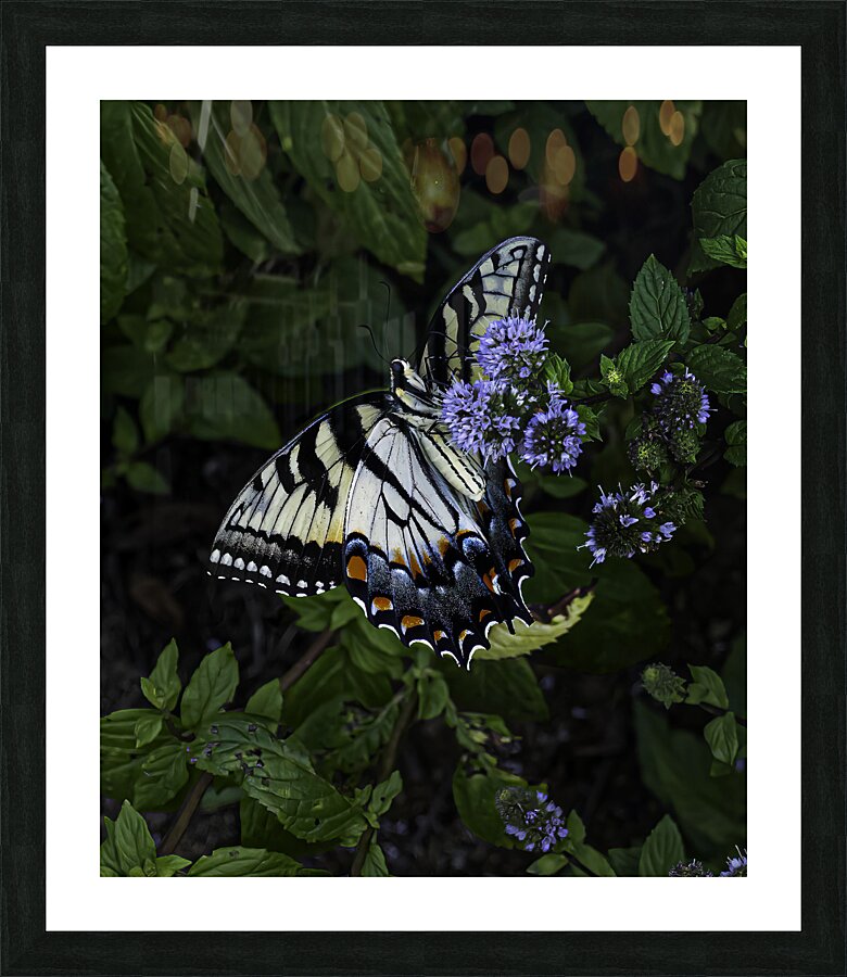 INS 00627 Picture Frame print