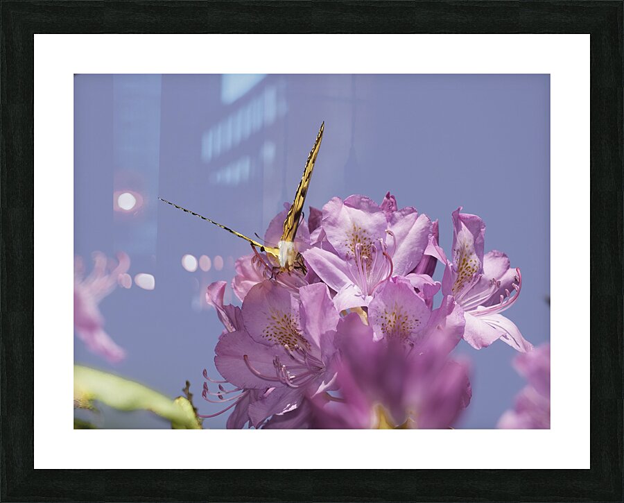 INS 00625 Picture Frame print