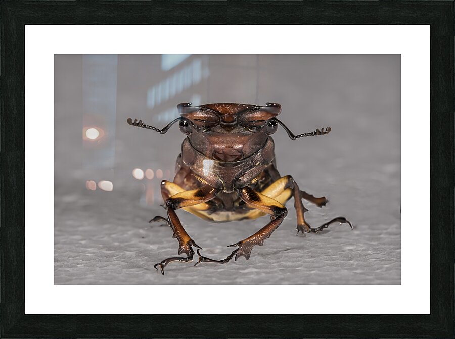 INS 00622 Picture Frame print