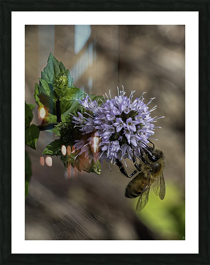 *INS 00644 Picture Frame print
