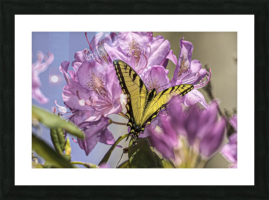 INS 00606 Picture Frame print
