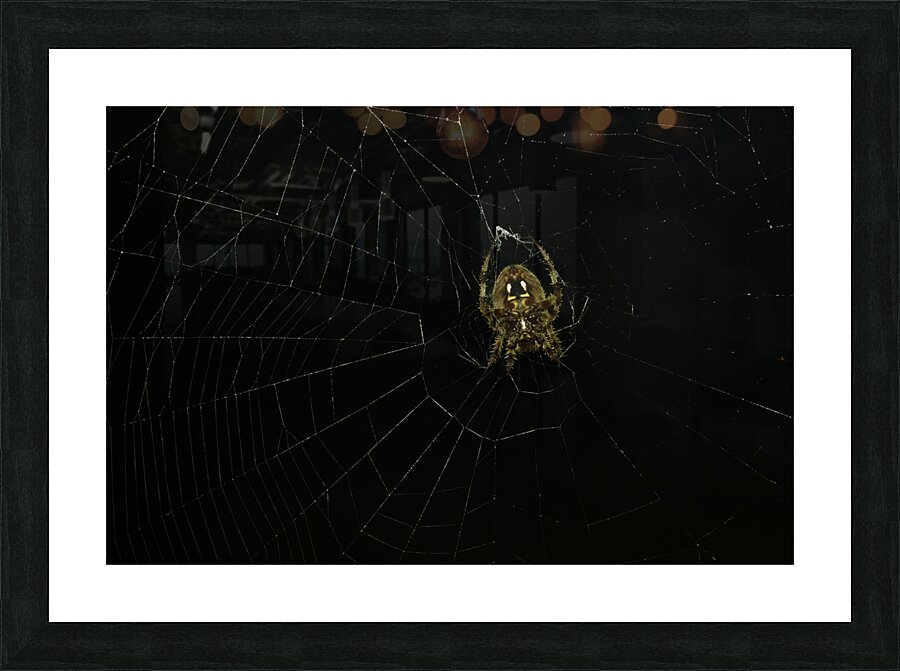 INS 00637 Picture Frame print