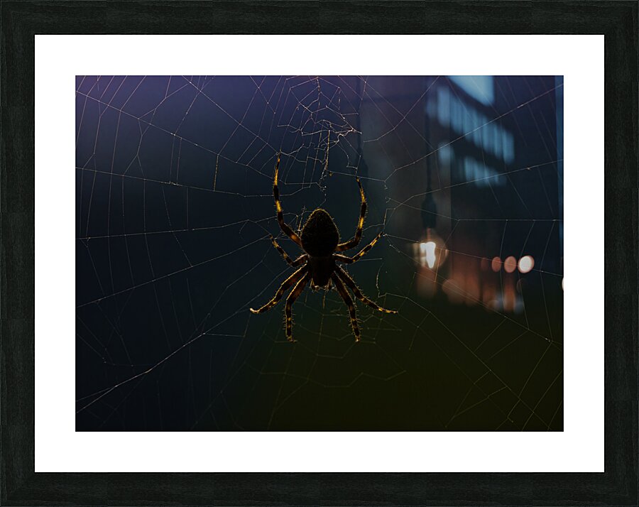 INS 00640 Picture Frame print