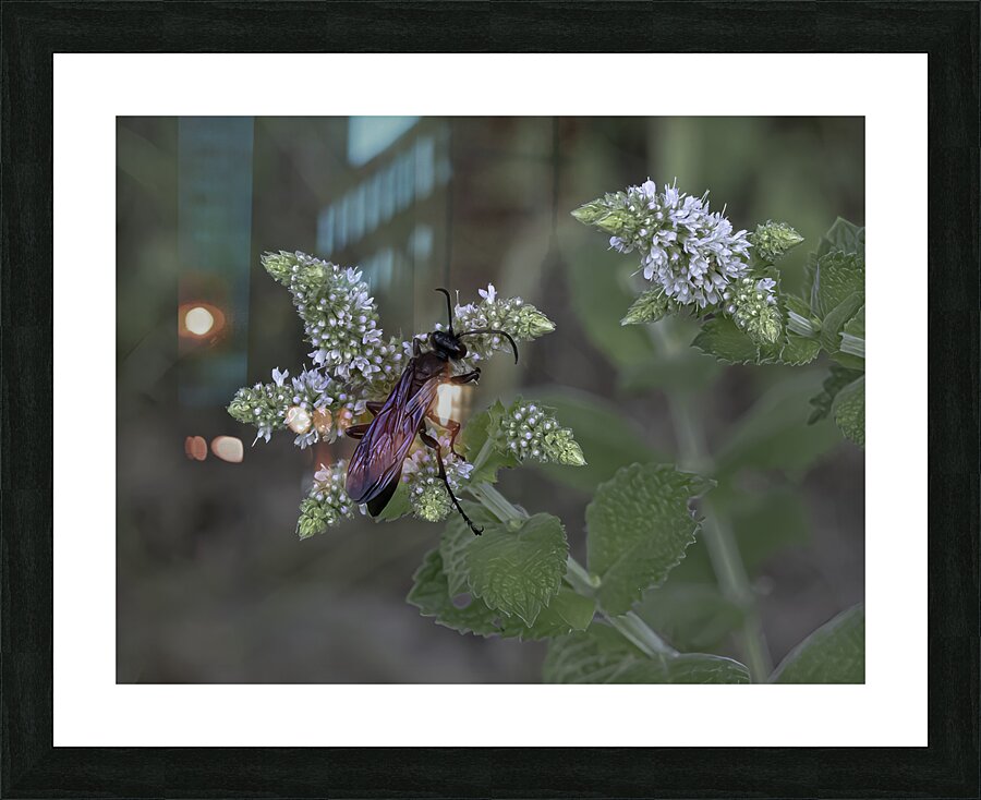 INS 00645 Picture Frame print