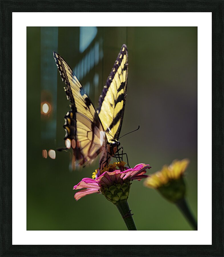 INS 00628 Picture Frame print