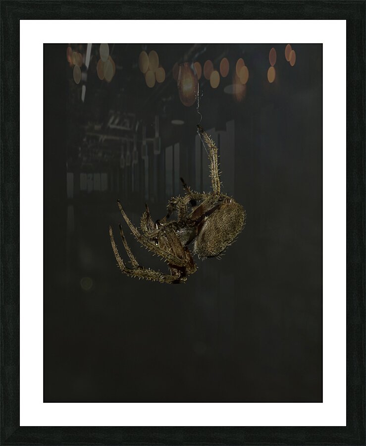 INS 00638 Picture Frame print