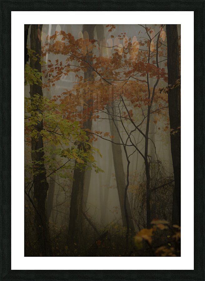 LAN 00656 Picture Frame print