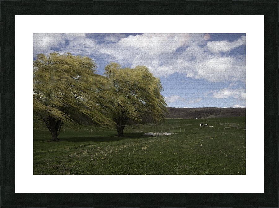 LAN 00695 Picture Frame print
