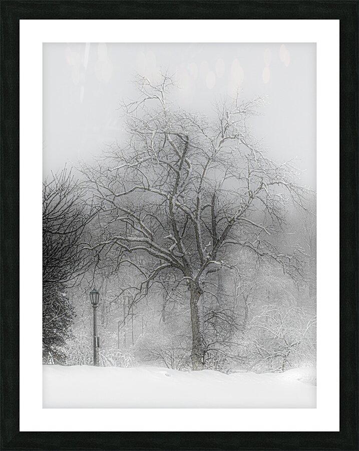 LAN 00657 Picture Frame print