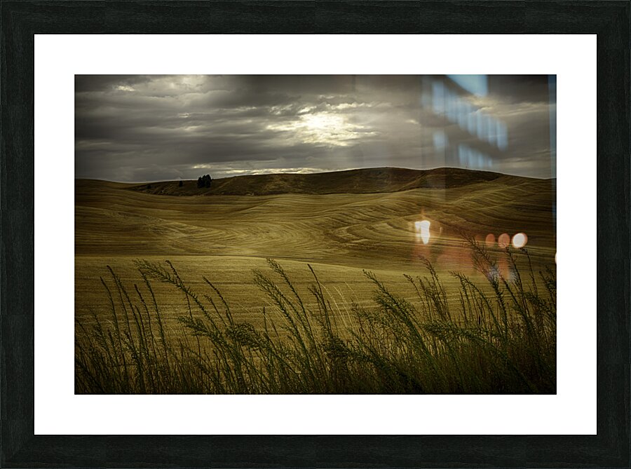 LAN 00658 Picture Frame print