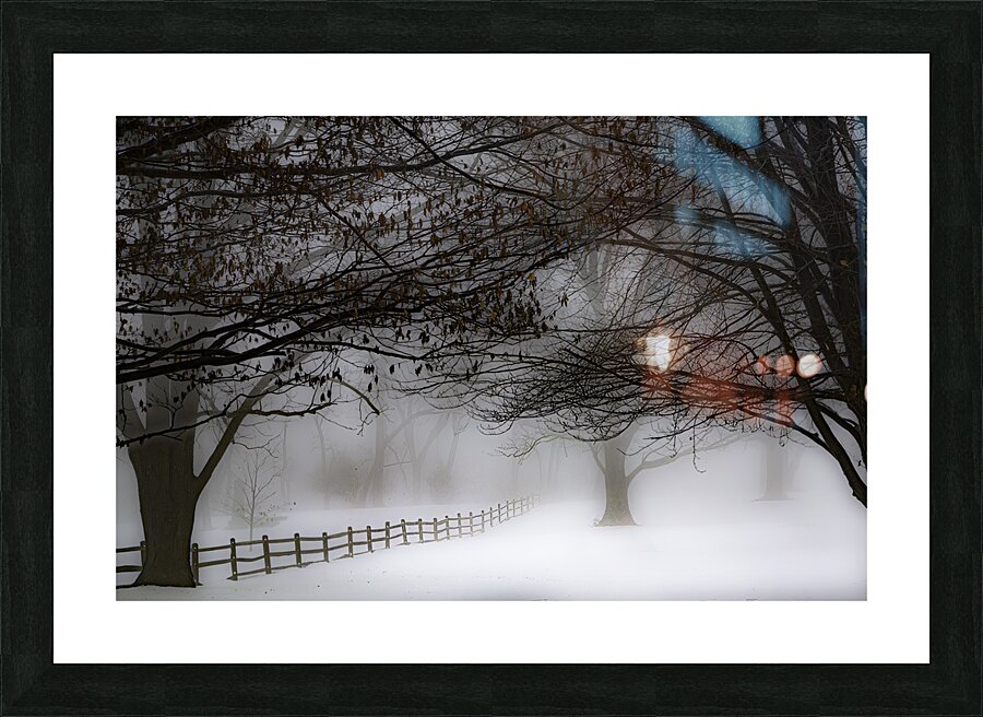 LAN 00659 Picture Frame print