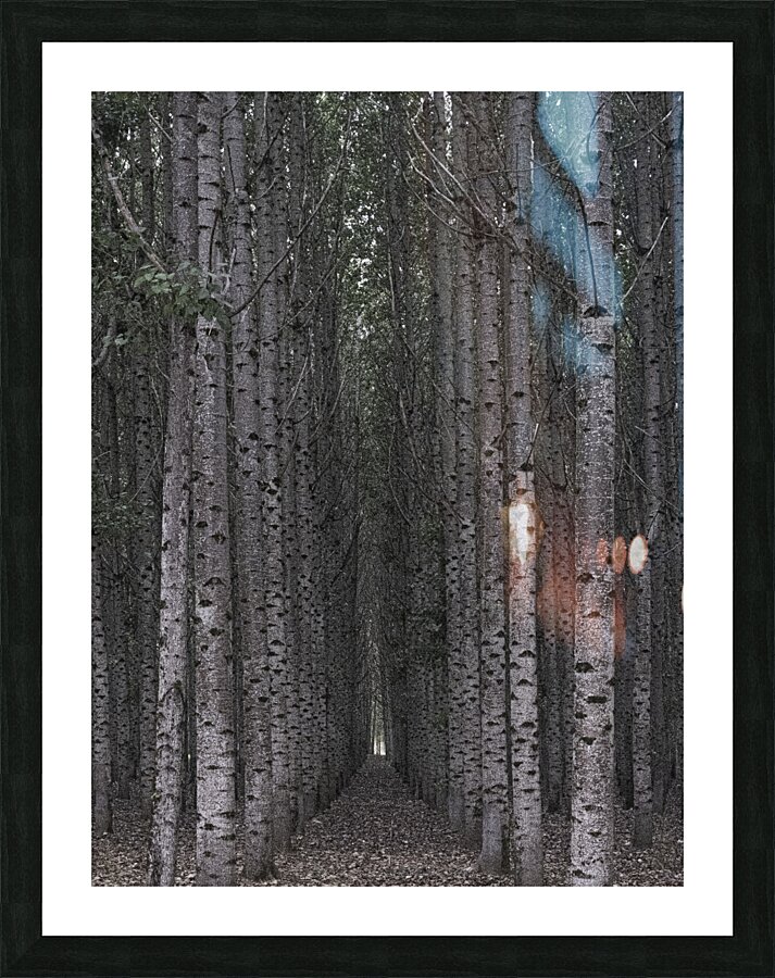 LAN 00723 Picture Frame print