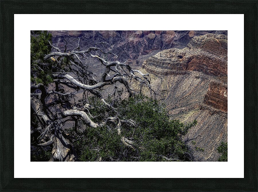 LAN 00701 Picture Frame print