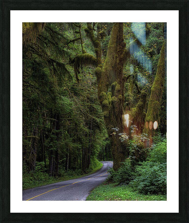 LAN 00730 Picture Frame print