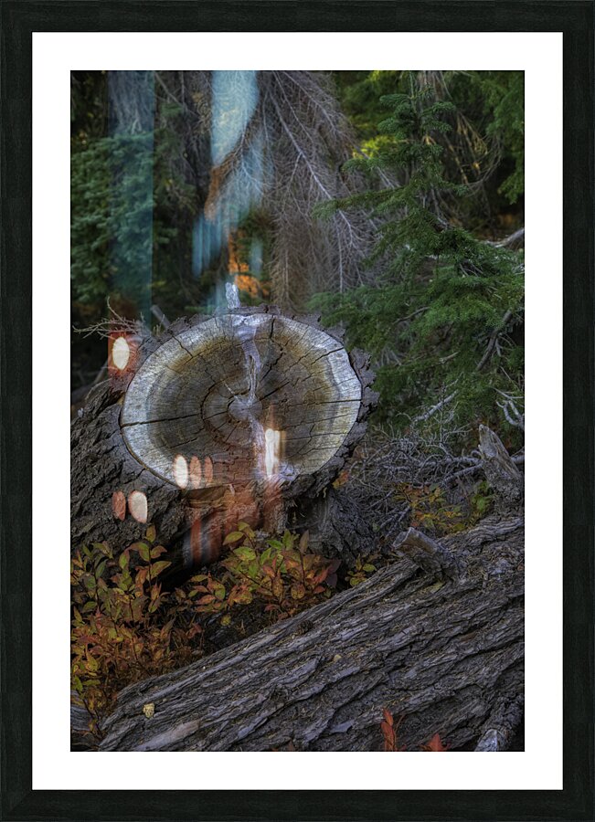 LAN 00738 Picture Frame print