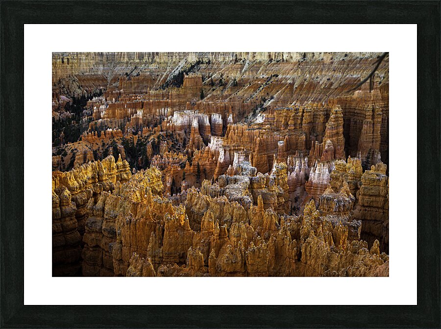 LAN 00747 Picture Frame print