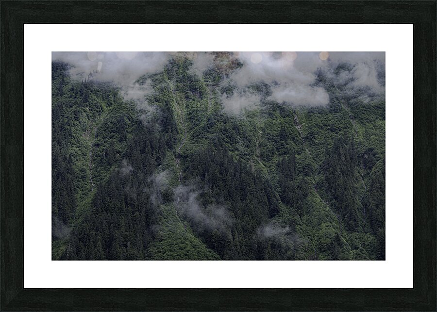 LAN 00772 Picture Frame print