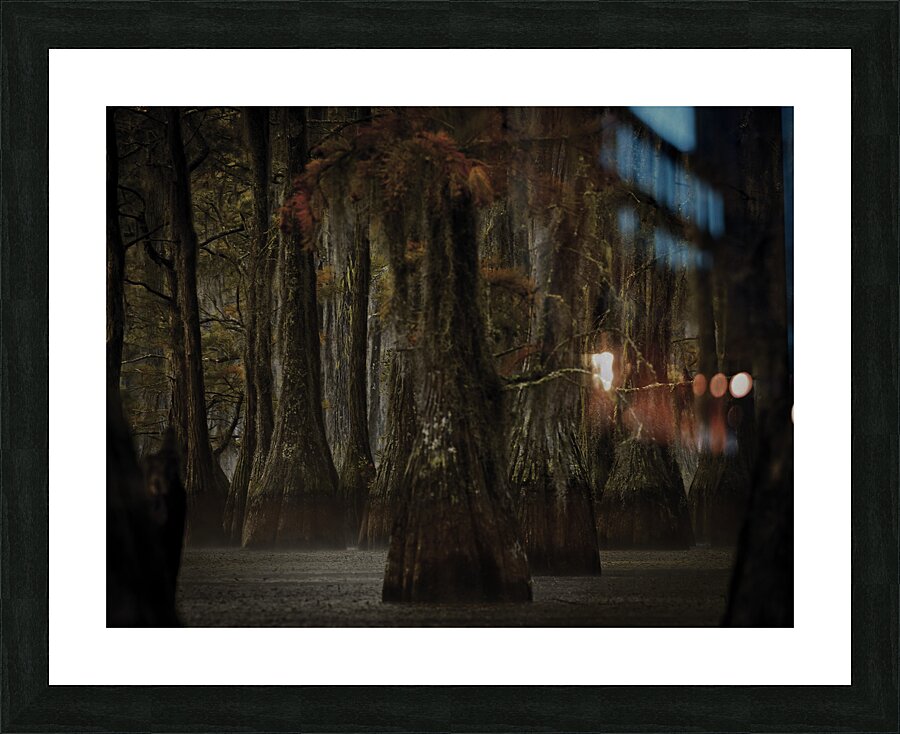 LAN 00799 Picture Frame print
