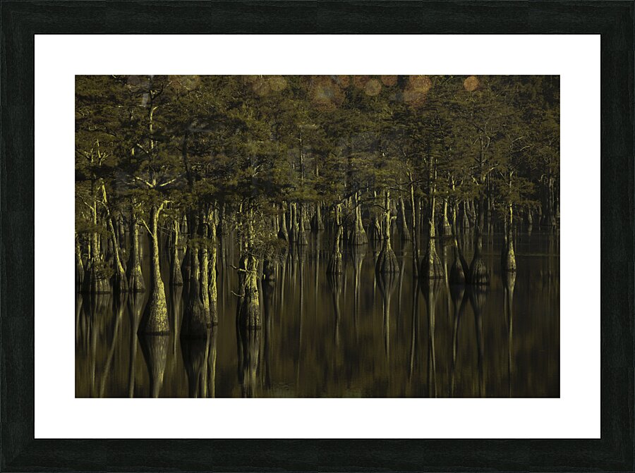 LAN 00798 Picture Frame print