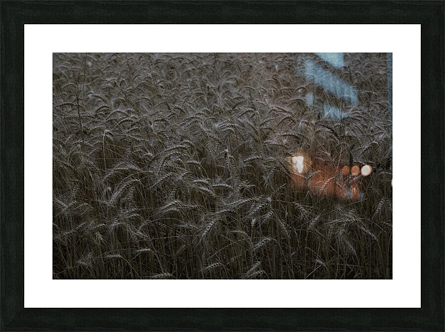 LAN 00797 Picture Frame print