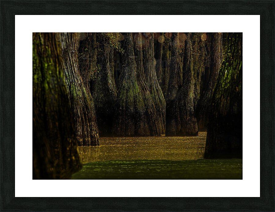 LAN 00800 Picture Frame print