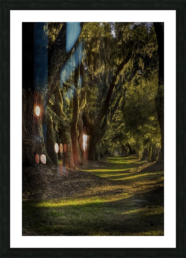 LAN 00824 Picture Frame print