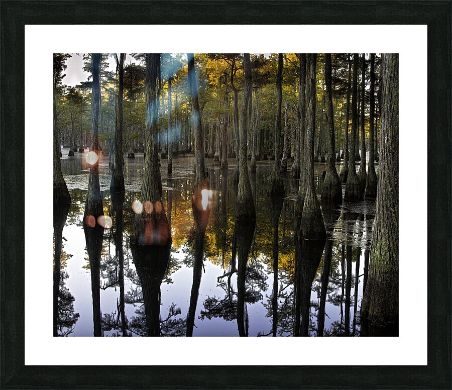 LAN 00802 Picture Frame print