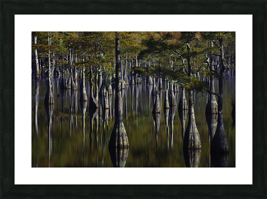 *LAN 00803 Picture Frame print
