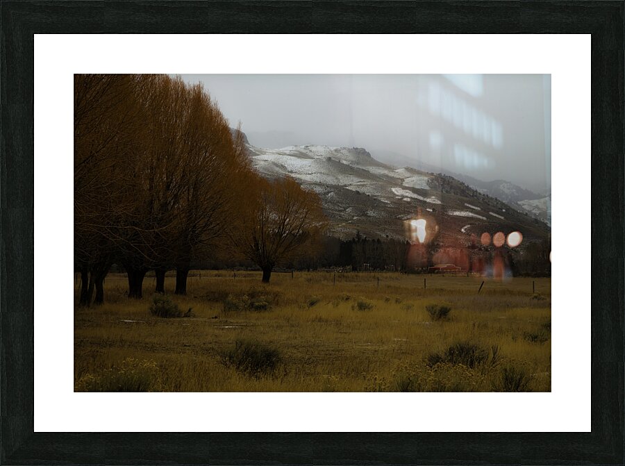LAN 00836 Picture Frame print