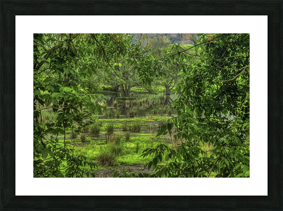 LAN 00846 Picture Frame print