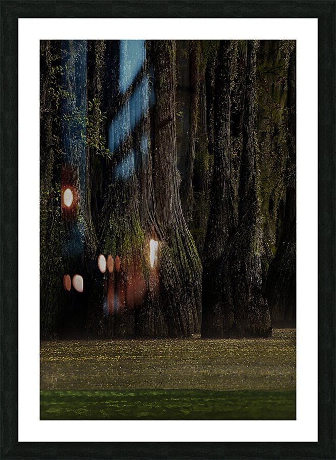 LAN 00801 Picture Frame print