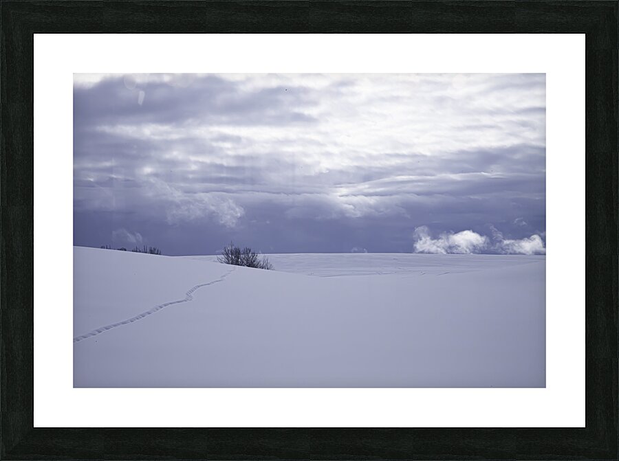 LAN 00834 Picture Frame print