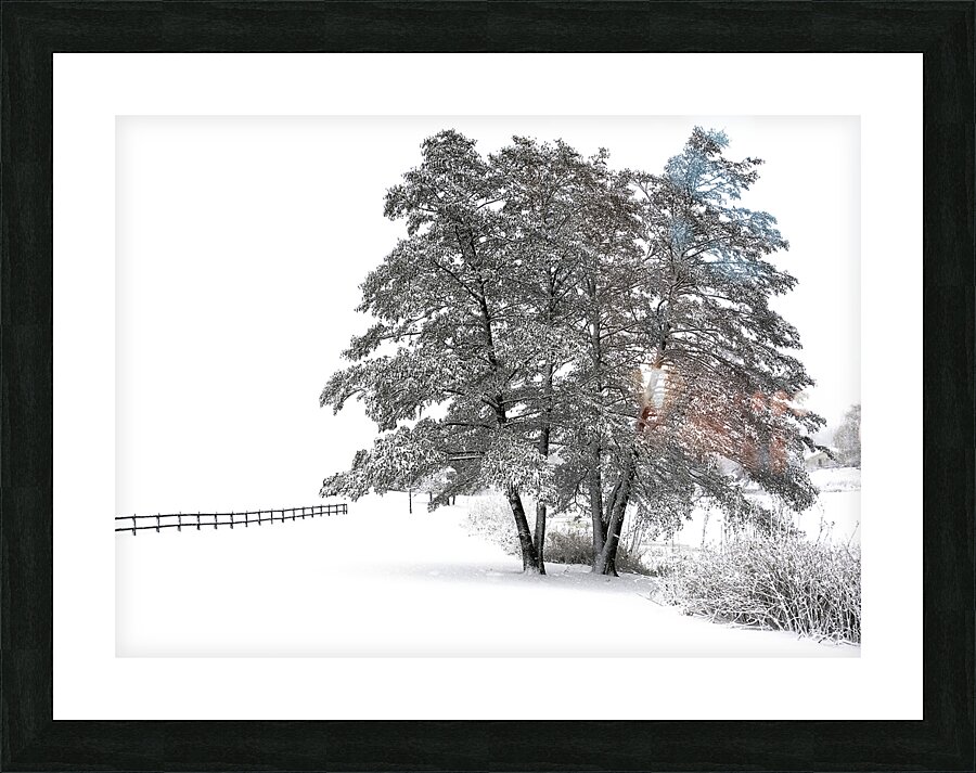 LAN 00832 Picture Frame print