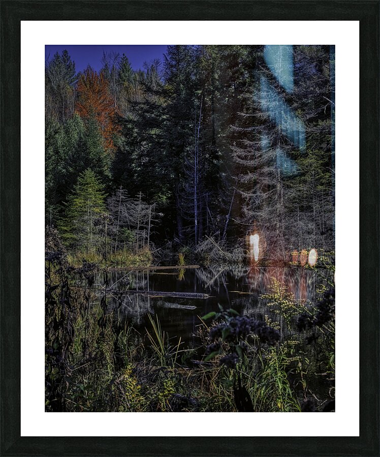 LAN 00869 Picture Frame print