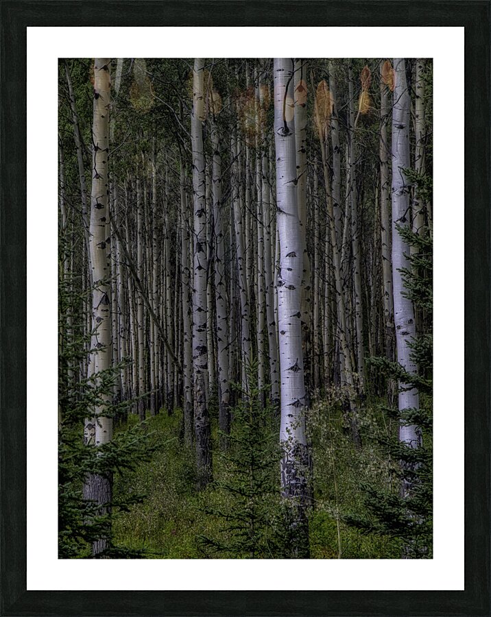 LAN 00911 Picture Frame print