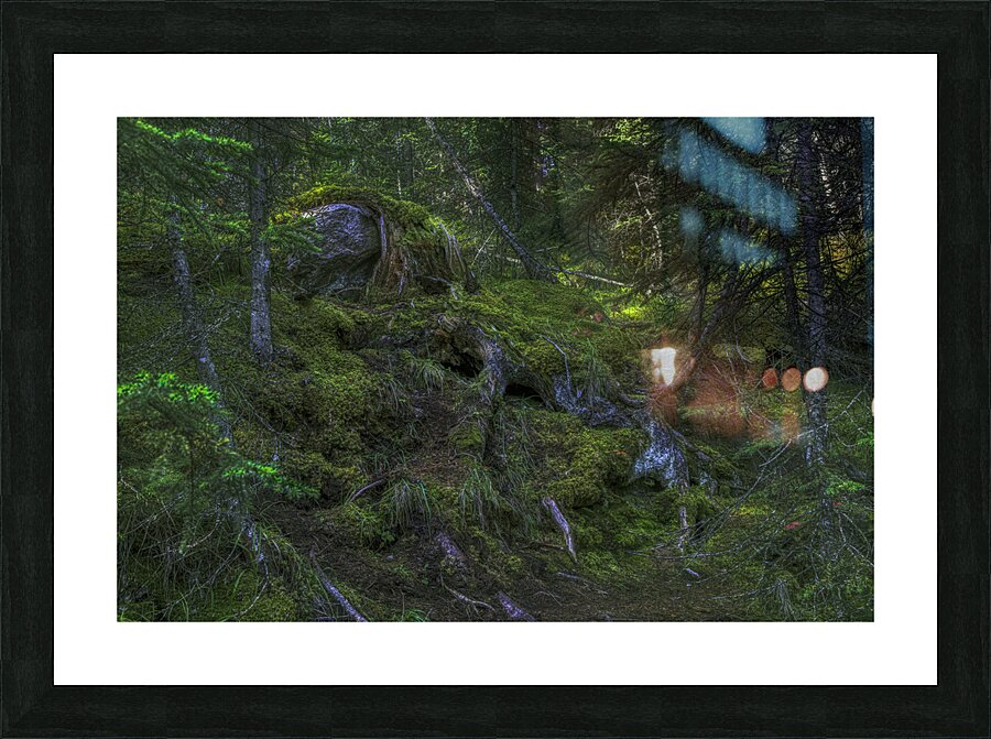 LAN 00976 Picture Frame print