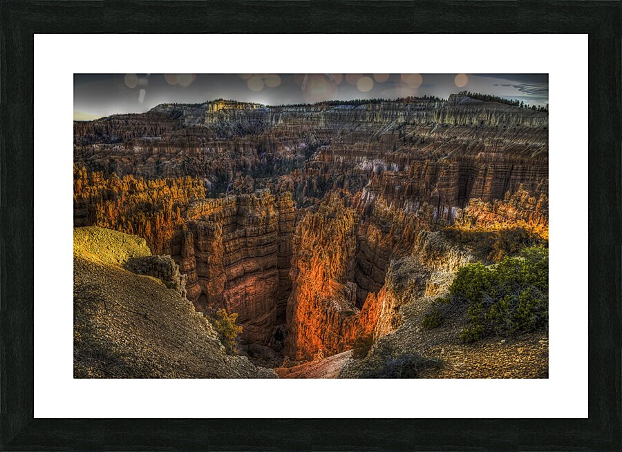 LAN 00974 Picture Frame print