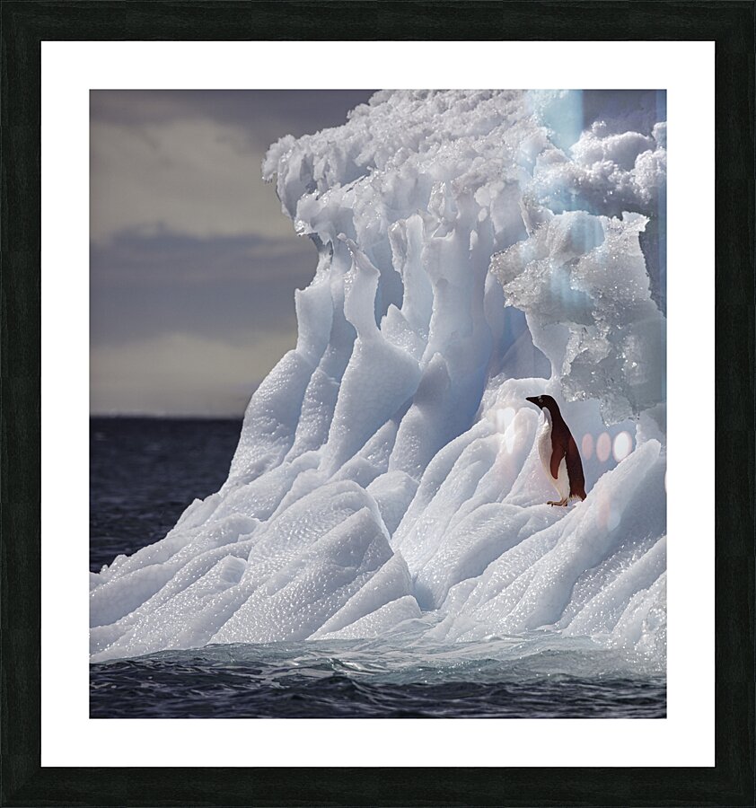 LAN 00933 Picture Frame print