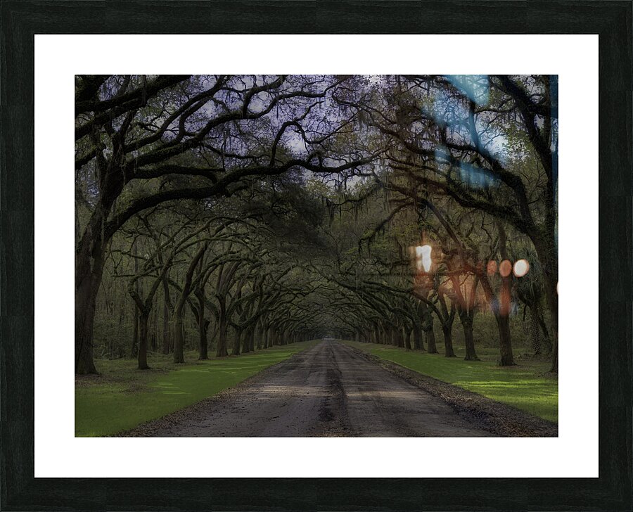 LAN 00958 Picture Frame print