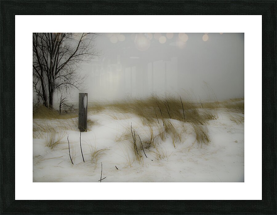 MIS 00989 Picture Frame print