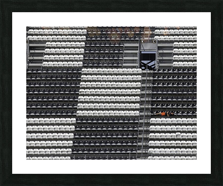 *MIS 01004 Picture Frame print