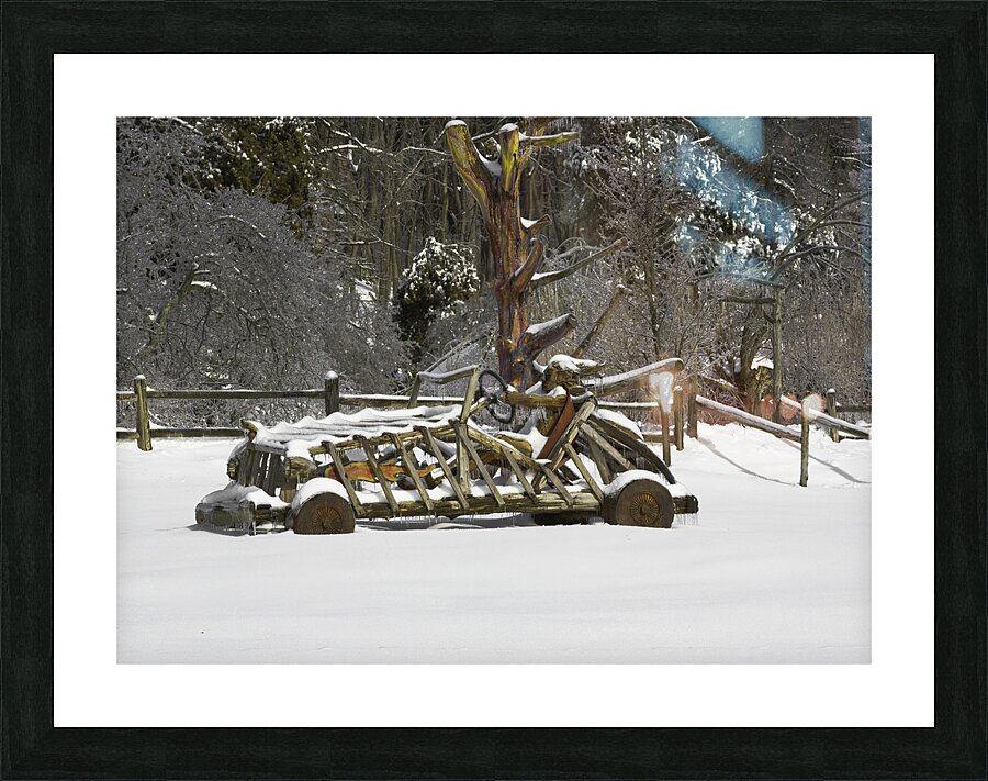 MIS 01007 Picture Frame print