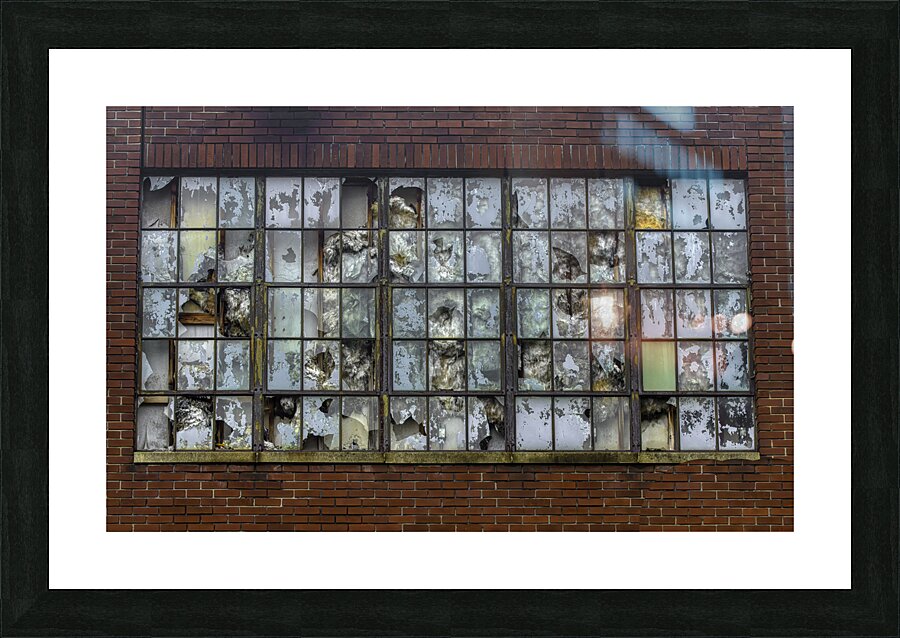 MIS 01089 Picture Frame print