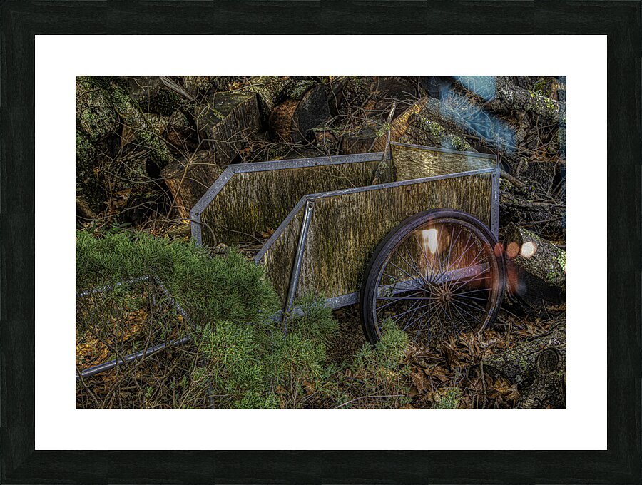 MIS 01108 Picture Frame print