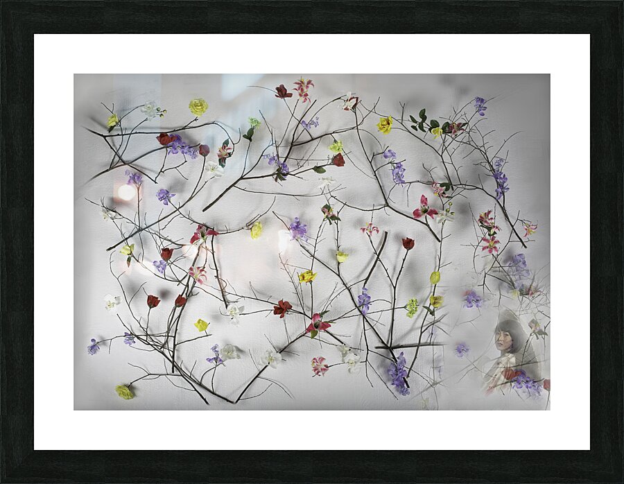 MIS 01088 Picture Frame print